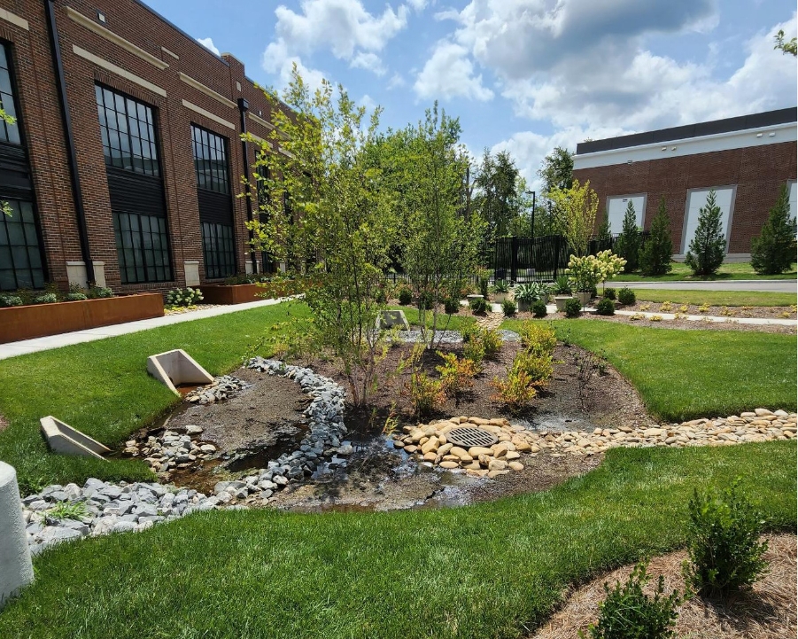 Grassy area with a tree and a drainage culvert, showcasing industrial site work.